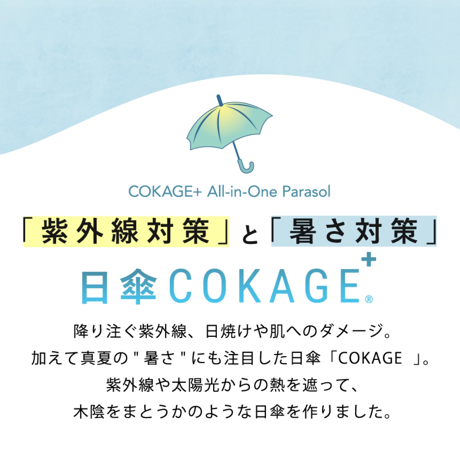 日傘　遮光　遮熱　説明