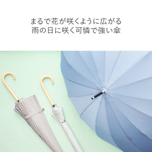 16K花びらき 55cm