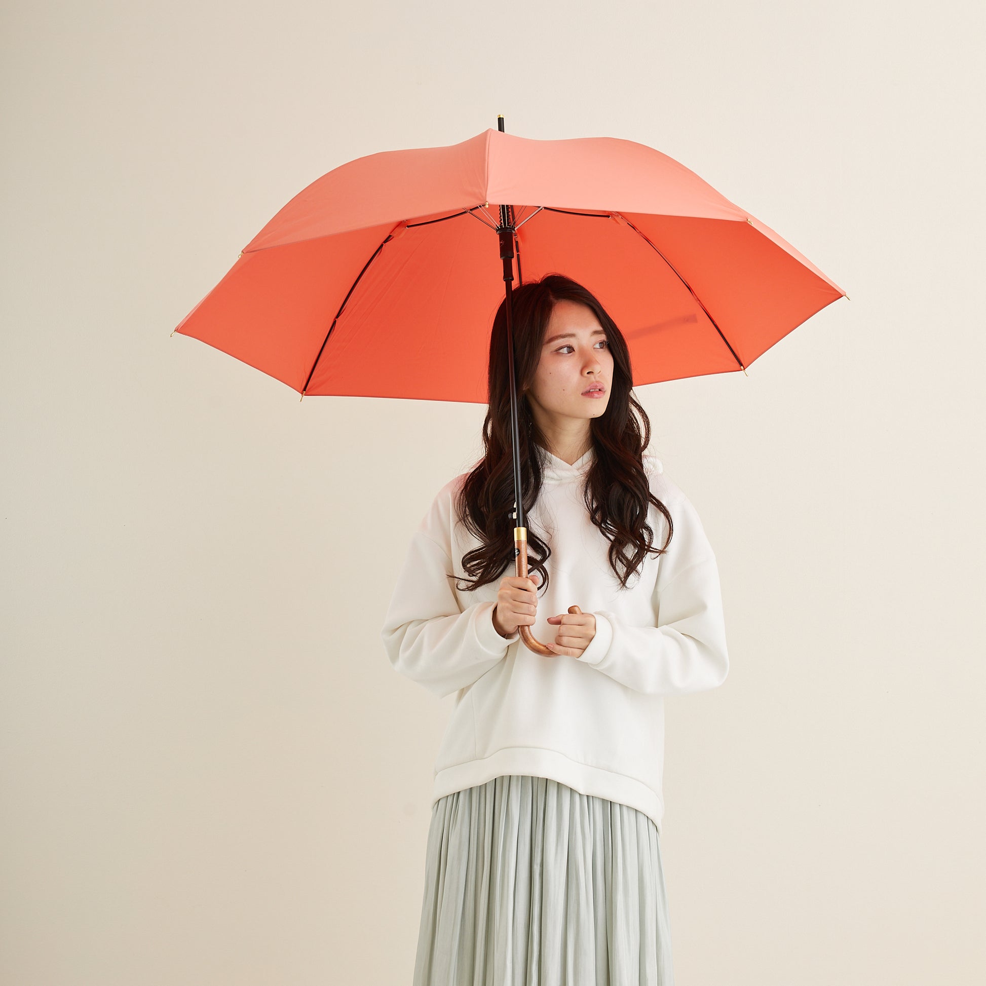 傘 日傘 雨傘 かさ カサ Waterfront ウォーターフロント シューズセレクション 長傘 レディース